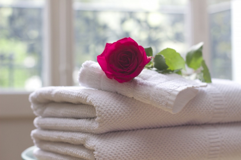 hotel-ST VALLIER DE THIEY-min_towel_rose_clean_care_salon_spa_white_bath-731641